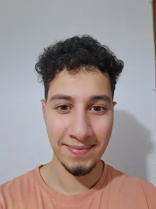 I'm offering english/arabic/french/spanish lessons