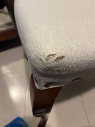 Conjunto mesa comedor alta calidad