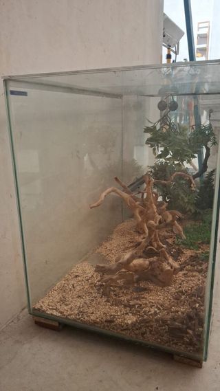 Terrario para mascotas