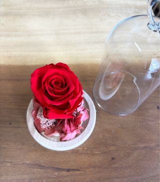 Rosa Roja Eterna Cúpula Cristal Corazón