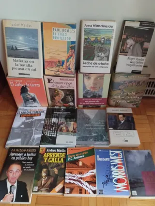 Novelas variadas a 1€ cada libro. Lote 1