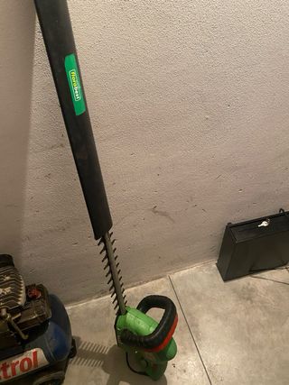 Tagliasiepi elettrico non funzionante rotta