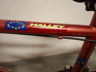 Bicicleta Halley niño/niña neumáticos 20x19
