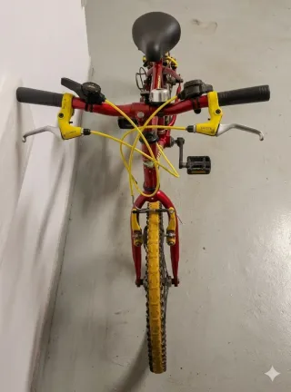 Bicicleta Halley niño/niña neumáticos 20x19