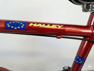 Bicicleta Halley niño/niña neumáticos 20x19