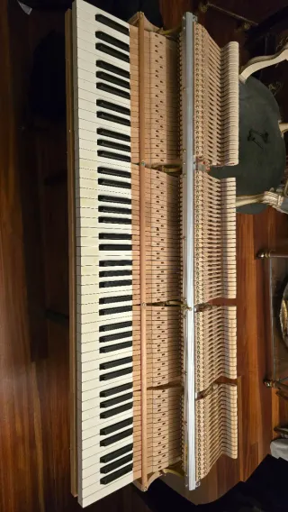 Piano de Cola Yamaha C3 Conservatory