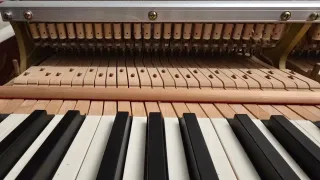 Piano de Cola Yamaha C3 Conservatory