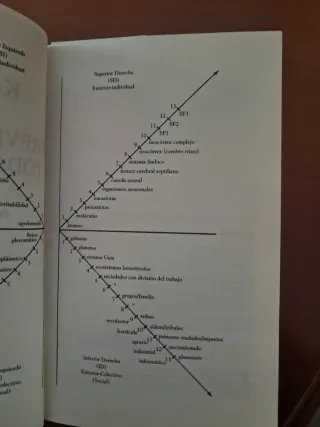 Breve historia de todas las cosas