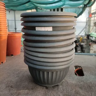 Set 11 Vasi Ciotola Plastica 20cm