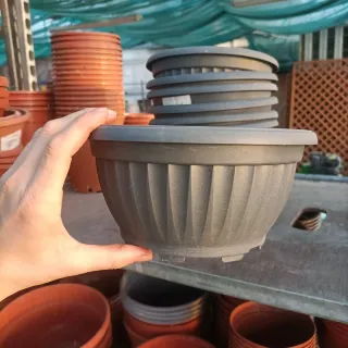 Set 11 Vasi Ciotola Plastica 20cm