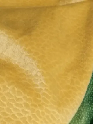 Disfraz Triceratops T.4-6 años