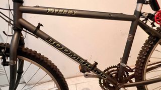 Bicicleta Boomerang Valley