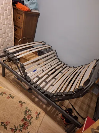 Cama articulada eléctrica con colchón