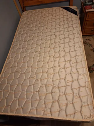 Cama articulada eléctrica con colchón