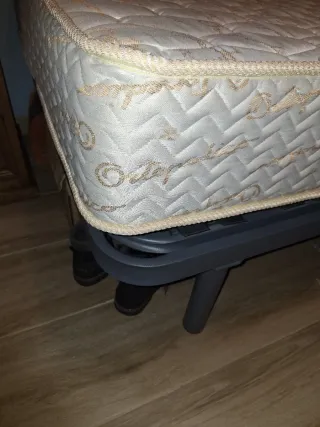 Cama articulada eléctrica con colchón