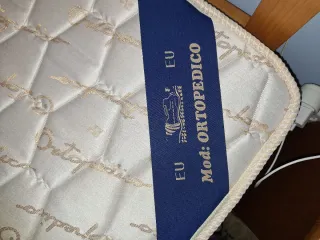 Cama articulada eléctrica con colchón