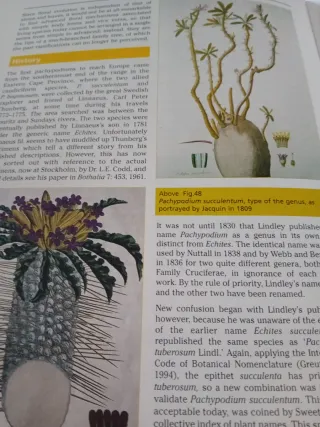 Libro Pachypodium.&Adenium t cactus file handbook