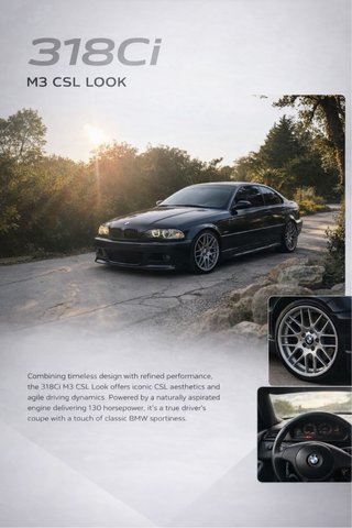 BMW e46 el coche tiene cosas por hacer