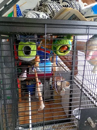 Jaula para loros y pájaros