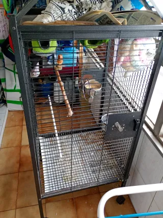 Jaula para loros y pájaros
