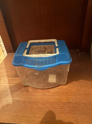 Peceras pequeñas, usadas una vez