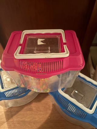 Peceras pequeñas, usadas una vez