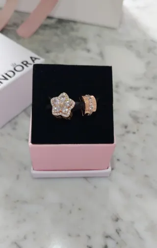 2 Charm Pandora Oro.