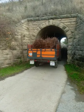 mira que gabillas más molongis agan sus pedidos