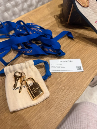 Borsa Louis Vuitton Speedy Bandoulière