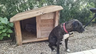 Caseta de madera para perro