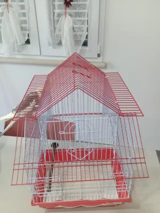 Gabbia per uccelli piccoli