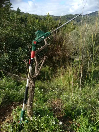 Cortasetos Telescópico Parkside