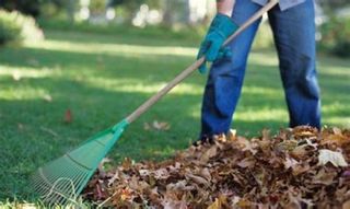 JARDINERO A DOMICILIO PARA CHALETS