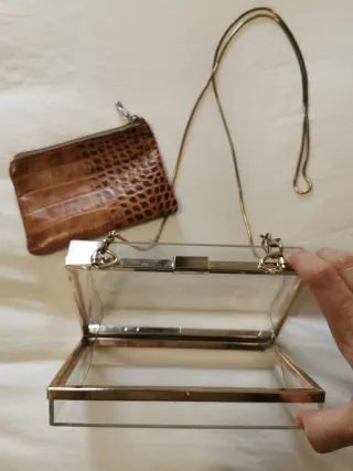 Bolso caja transparente con interior estampado