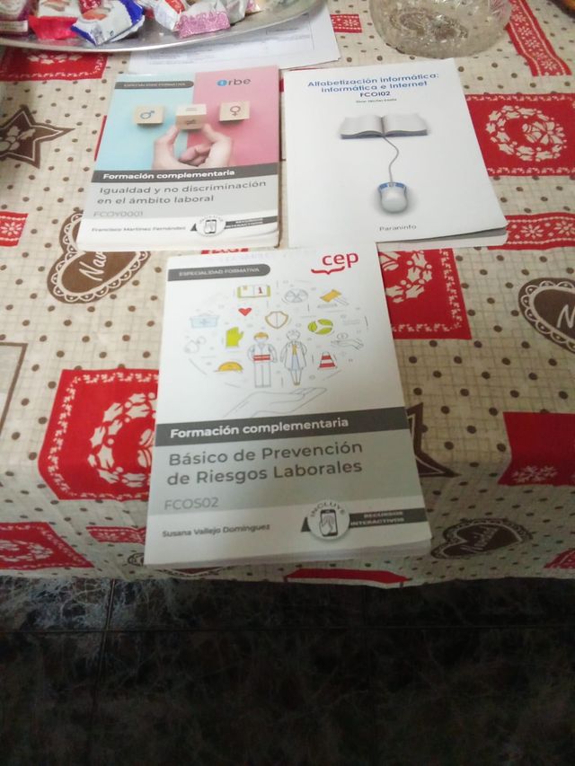 Lote de libros curso Albañilería y PRL