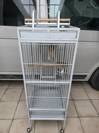 Jaula para loros  blanca