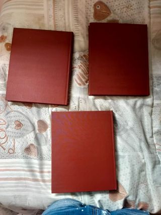 I funghi dalla A alla Z (3 volumi) Alberto Peruzzo