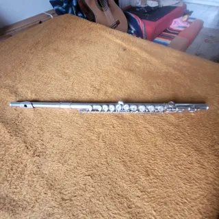 Flauta travesera con estuche