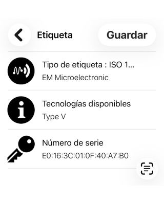 Borsa Louis Vuitton Ivy