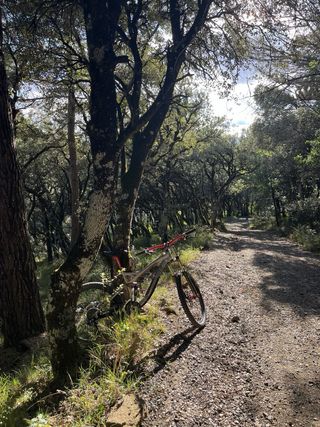 Bici Specialized Descenso