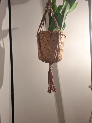 Suporte de plantas em algodão com anel de madeira