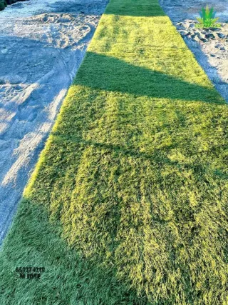 Césped artificial reciclado