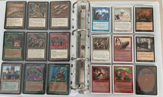 Album Magic The Gathering 900 Carte
