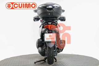 ZONTES M 350