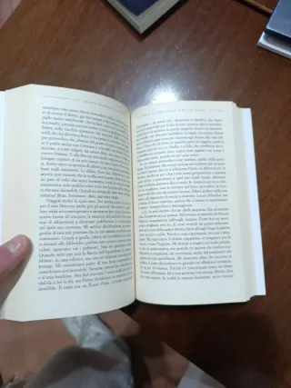 Storia di chi fugge e di chi resta. L'amica gen...