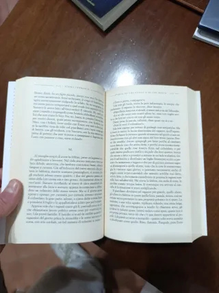 Storia di chi fugge e di chi resta. L'amica gen...