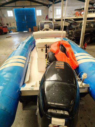 NEUMATICA NEUVISA NARWHAL  MOTOR SUZUKI DF50 2006