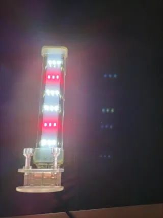 Calentador y filtro para acuario