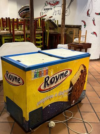 Arcón Congelador Royne