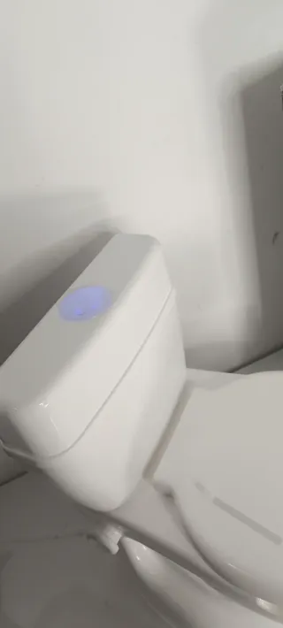 Orinal para bebé BABYGO WC infantil